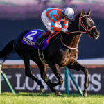 古馬G1を1勝しかしてないコントレイルの顕彰馬は取り消すべきではないのか？
