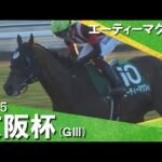 2025年京阪杯(ＧⅢ) エーティーマクフィ  実況：服部優陽【カンテレ公式】