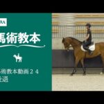 【馬事公苑】馬術教本動画24 後退 | JRA公式