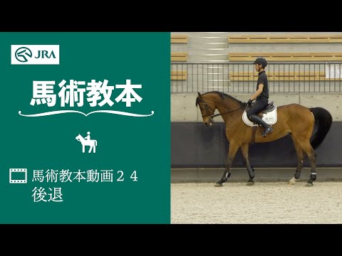 【馬事公苑】馬術教本動画24 後退 | JRA公式