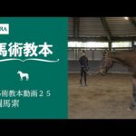 【馬事公苑】馬術教本動画25 調馬索 | JRA公式