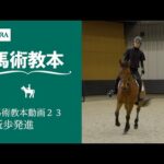 【馬事公苑】馬術教本動画23 駈歩発進 | JRA公式