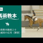 【馬事公苑】馬術教本動画20 半減却の応用（障害） | JRA公式
