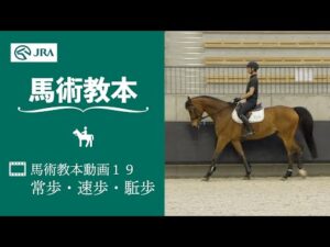【馬事公苑】馬術教本動画19 常歩・速歩・駈歩 | JRA公式