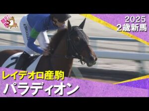 レイデオロ産駒パラディオンが断然人気に応えてデビュー勝ち！高杉騎手「上のレベルで戦うにはもう少し器用さが必要」2025年11月30日(日)２歳新馬　京都芝2000m　実況：服部優陽【カンテレ公式】