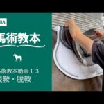 【馬事公苑】馬術教本動画13 装鞍・脱鞍 | JRA公式