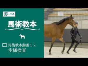 【馬事公苑】馬術教本動画12 歩様検査 | JRA公式