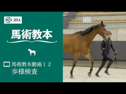 【馬事公苑】馬術教本動画12 歩様検査 | JRA公式