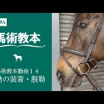 【馬事公苑】馬術教本動画14 勒の装着・脱勒 | JRA公式