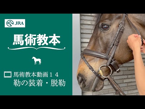 【馬事公苑】馬術教本動画14 勒の装着・脱勒 | JRA公式