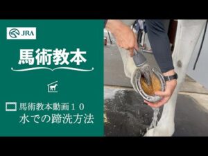 【馬事公苑】馬術教本動画10 水での蹄洗方法 | JRA公式