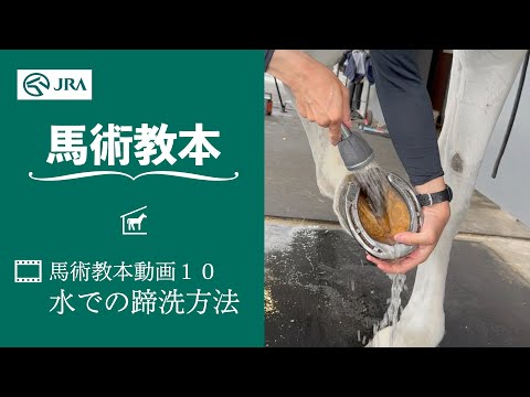 【馬事公苑】馬術教本動画10 水での蹄洗方法 | JRA公式