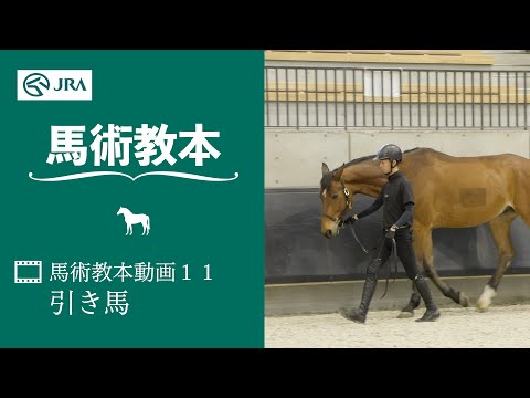 【馬事公苑】馬術教本動画11 引き馬 | JRA公式