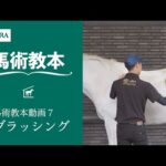 【馬事公苑】馬術教本動画7 ブラッシング | JRA公式