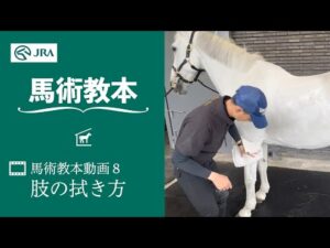 【馬事公苑】馬術教本動画8 肢の拭き方 | JRA公式