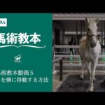 【馬事公苑】馬術教本動画5 馬を横に移動する方法 | JRA公式