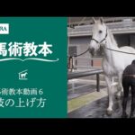 【馬事公苑】馬術教本動画6 肢の上げ方 | JRA公式