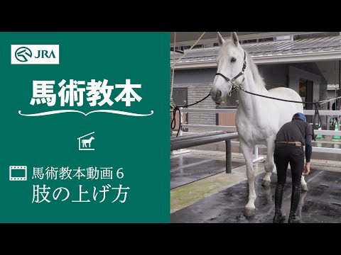 【馬事公苑】馬術教本動画6 肢の上げ方 | JRA公式