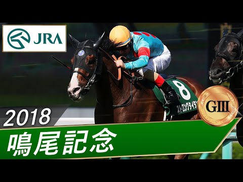 2018年 鳴尾記念（GⅢ） | ストロングタイタン | JRA公式