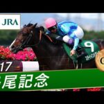 2017年 鳴尾記念（GⅢ） | ステイインシアトル | JRA公式