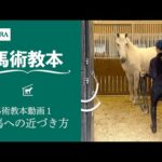 【馬事公苑】馬術教本動画1 馬への近づき方 | JRA公式