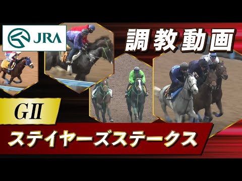 【調教動画】2025年 ステイヤーズステークス｜JRA公式