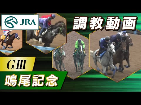 【調教動画】2025年 鳴尾記念｜JRA公式
