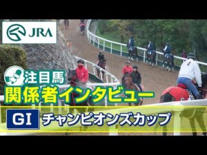 【注目馬 関係者インタビュー】2025年 チャンピオンズカップ｜JRA公式