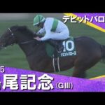 2025年鳴尾記念(GⅢ) デビットバローズ 実況:川島壮雄【カンテレ公式】