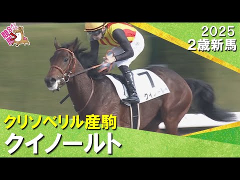 クリソベリル産駒クイノールトが２馬身差で快勝！プーシャン騎手「才能はあります」2025年12月7日(日)２歳新馬　阪神ダート1800m　実況：服部優陽【カンテレ公式】