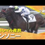 【M.デムーロ騎手が約半年ぶりのJRA勝利＆武幸四郎厩舎はJRA通算200勝】 アンソニーがで差し切りデビュー勝ち！2025年12月7日(日)２歳新馬　阪神芝1600m　実況：服部優陽【カンテレ公式】