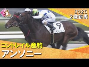 【M.デムーロ騎手が約半年ぶりのJRA勝利＆武幸四郎厩舎はJRA通算200勝】 アンソニーがで差し切りデビュー勝ち！2025年12月7日(日)２歳新馬　阪神芝1600m　実況：服部優陽【カンテレ公式】