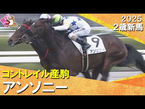 【M.デムーロ騎手が約半年ぶりのJRA勝利＆武幸四郎厩舎はJRA通算200勝】 アンソニーがで差し切りデビュー勝ち！2025年12月7日(日)２歳新馬　阪神芝1600m　実況：服部優陽【カンテレ公式】