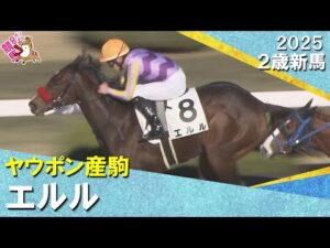 米国産馬エルルが逃げ切りデビュー勝ち！菱田騎手「いいスピードがあります」2025年12月6日(土)２歳新馬　阪神ダート1200m　実況：川島壮雄【カンテレ公式】