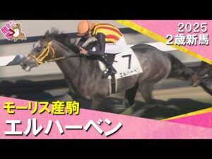 モーリス産駒エルハーベンが逃げ切りデビュー勝ち！高杉騎手「次のレースに向けては課題もたくさん」2025年12月6日(土)２歳新馬　阪神芝2000m　実況：川島壮雄【カンテレ公式】