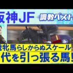 「体幹がしっかりしている」アランカール、マーゴットラヴミー、アルバンヌ・・・競馬エイト・高橋賢司トラックマンの調教解説<阪神ジュベナイルフィリーズ(GⅠ)>