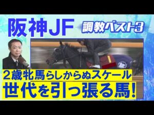 「体幹がしっかりしている」アランカール、マーゴットラヴミー、アルバンヌ・・・競馬エイト・高橋賢司トラックマンの調教解説<阪神ジュベナイルフィリーズ(GⅠ)>