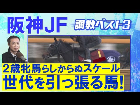 「体幹がしっかりしている」アランカール、マーゴットラヴミー、アルバンヌ・・・競馬エイト・高橋賢司トラックマンの調教解説<阪神ジュベナイルフィリーズ(GⅠ)>