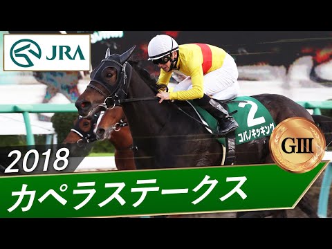 2018年 カペラステークス(GⅢ) | コパノキッキング | JRA公式