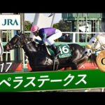 2017年 カペラステークス(GⅢ) | ディオスコリダー | JRA公式