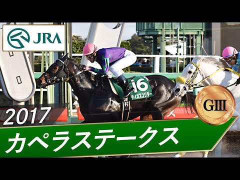 2017年 カペラステークス(GⅢ) | ディオスコリダー | JRA公式