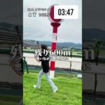 競馬場を走ってみた!#カンテレ競馬 #競馬BEAT #競馬 #阪神競馬場