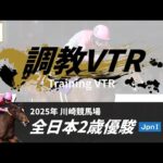 調教VTR|2025年 全日本2歳優駿 JpnI|NAR公式