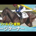 ページターナーが断然人気に応えてデビュー勝ち!川田騎手「徐々に良くなってくれれば」2025年12月14日(日)2歳新馬 阪神芝2000m 実況:川島壮雄【カンテレ公式】