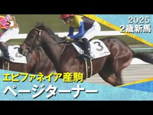 ページターナーが断然人気に応えてデビュー勝ち!川田騎手「徐々に良くなってくれれば」2025年12月14日(日)2歳新馬 阪神芝2000m 実況:川島壮雄【カンテレ公式】