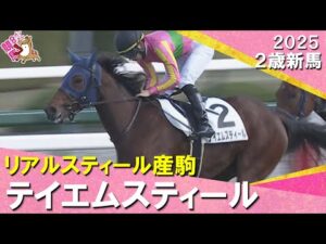 リアルスティール産駒テイエムスティールが突き抜けてデビュー勝ち!田山騎手「馬に助けてもらいました」2025年12月14日(日)2歳新馬 阪神芝1400m 実況:川島壮雄【カンテレ公式】