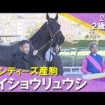 メイショウリュウシが逃げて3馬身半差の完勝!岩田康誠騎手「物見をするくらい余裕があった」2025年12月13日(土)2歳新馬 阪神ダート1400m 実況:川島壮雄【カンテレ公式】