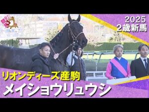 メイショウリュウシが逃げて3馬身半差の完勝!岩田康誠騎手「物見をするくらい余裕があった」2025年12月13日(土)2歳新馬 阪神ダート1400m 実況:川島壮雄【カンテレ公式】