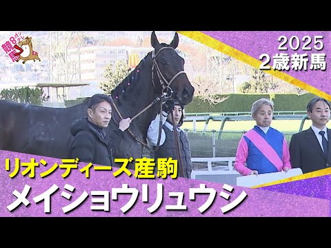 メイショウリュウシが逃げて３馬身半差の完勝！岩田康誠騎手「物見をするくらい余裕があった」2025年12月13日(土)２歳新馬　阪神ダート1400m　実況：川島壮雄【カンテレ公式】