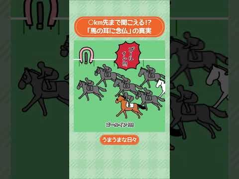 馬は◯km先まで聞こえる！？「馬の耳に念仏」の真実🐴💡 #shorts ｜うまうまな日々｜JRA公式